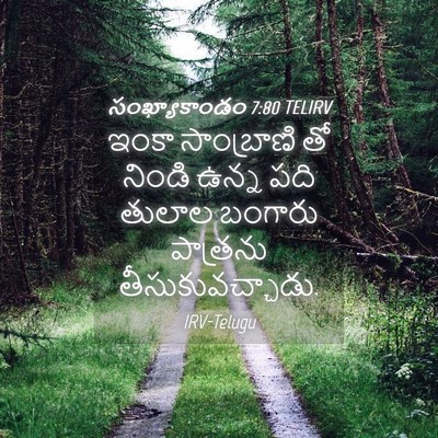 Picture 04 - సంఖ్యాకాండం 7:80 TELIRV - ఇంకా సాంబ్రాణి తో - Bible Verse Picture