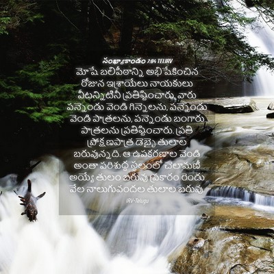 Picture 04 - సంఖ్యాకాండం 7:84 TELIRV - మోషే బలిపీఠాన్ని - Bible Verse Picture