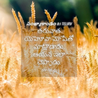 Picture 04 - సంఖ్యాకాండం 8:1 TELIRV - తరువాత యెహోవా - Bible Verse Picture