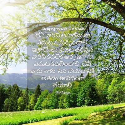 Picture 04 - సంఖ్యాకాండం 8:11 TELIRV - లేవీ వారిని - Bible Verse Picture