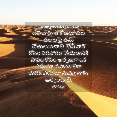 Picture 04 - సంఖ్యాకాండం 8:12 TELIRV - లేవీ వారు ఆ - Bible Verse Picture