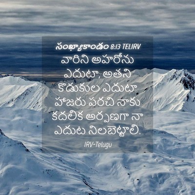 Picture 04 - సంఖ్యాకాండం 8:13 TELIRV - వారిని అహరోను - Bible Verse Picture