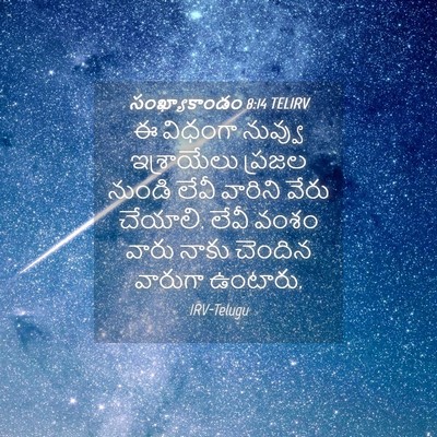 Picture 04 - సంఖ్యాకాండం 8:14 TELIRV - ఈ విధంగా నువ్వు - Bible Verse Picture