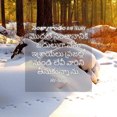 Picture 04 - సంఖ్యాకాండం 8:18 TELIRV - మొదటి సంతానానికి - Bible Verse Picture