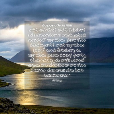 Picture 04 - సంఖ్యాకాండం 8:19 TELIRV - వారిని అహరోనుకీ - Bible Verse Picture