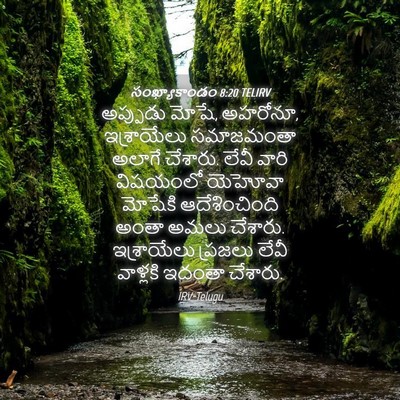 Picture 04 - సంఖ్యాకాండం 8:20 TELIRV - అప్పుడు మోషే, - Bible Verse Picture