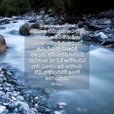 Picture 04 - సంఖ్యాకాండం 8:22 TELIRV - తరువాత లేవీ వారు - Bible Verse Picture