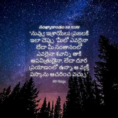 Picture 04 - సంఖ్యాకాండం 9:10 TELIRV - “నువ్వు ఇశ్రాయేలు - Bible Verse Picture