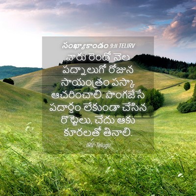 Picture 04 - సంఖ్యాకాండం 9:11 TELIRV - వారు రెండో నెల - Bible Verse Picture