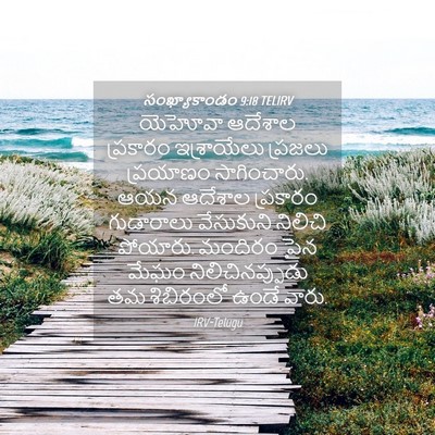 Picture 04 - సంఖ్యాకాండం 9:18 TELIRV - యెహోవా ఆదేశాల - Bible Verse Picture