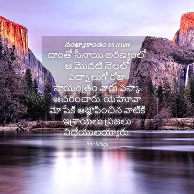 Picture 04 - సంఖ్యాకాండం 9:5 TELIRV - దాంతో సీనాయి - Bible Verse Picture
