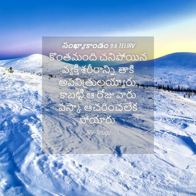 Picture 04 - సంఖ్యాకాండం 9:6 TELIRV - కొంతమంది చనిపోయిన - Bible Verse Picture