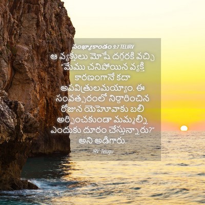 Picture 04 - సంఖ్యాకాండం 9:7 TELIRV - ఆ వ్యక్తులు మోషే - Bible Verse Picture