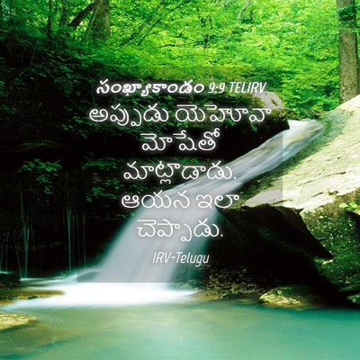 Picture 04 - సంఖ్యాకాండం 9:9 TELIRV - అప్పుడు యెహోవా - Bible Verse Picture