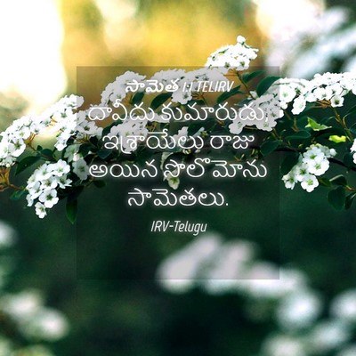Picture 04 - సామెత 1:1 TELIRV - దావీదు కుమారుడు, - Bible Verse Picture