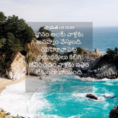 Picture 04 - సామెత 1:29 TELIRV - జ్ఞానం అంటే - Bible Verse Picture
