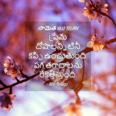Picture 04 - సామెత 10:12 TELIRV - ప్రేమ - Bible Verse Picture