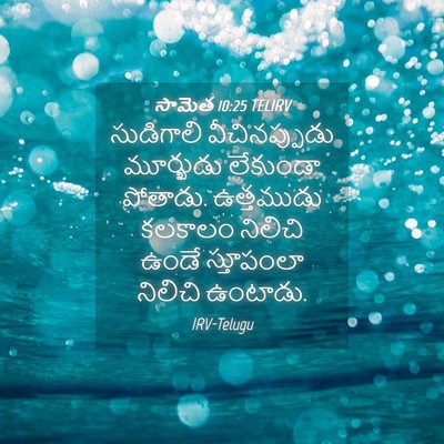 Picture 04 - సామెత 10:25 TELIRV - సుడిగాలి - Bible Verse Picture