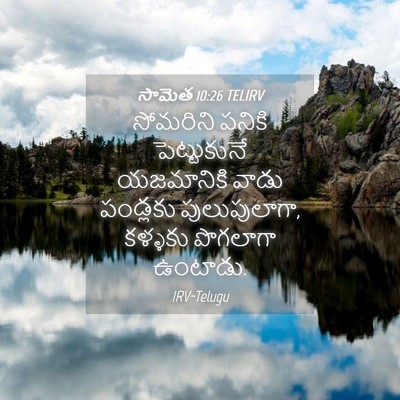Picture 04 - సామెత 10:26 TELIRV - సోమరిని పనికి - Bible Verse Picture