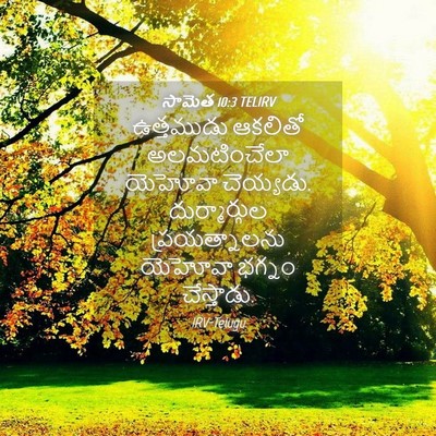 Picture 04 - సామెత 10:3 TELIRV - ఉత్తముడు ఆకలితో - Bible Verse Picture