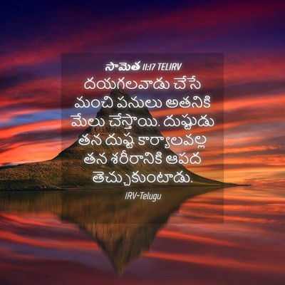 Picture 04 - సామెత 11:17 TELIRV - దయగలవాడు చేసే - Bible Verse Picture