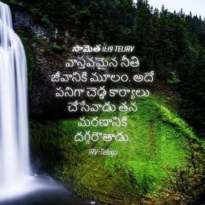 Picture 04 - సామెత 11:19 TELIRV - వాస్తవమైన నీతి - Bible Verse Picture