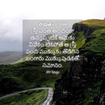 Picture 04 - సామెత 11:22 TELIRV - స్త్రీ ఎంత అందంగా - Bible Verse Picture