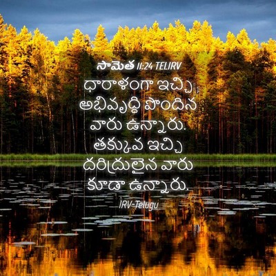 Picture 04 - సామెత 11:24 TELIRV - ధారాళంగా ఇచ్చి - Bible Verse Picture