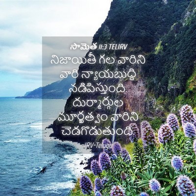 Picture 04 - సామెత 11:3 TELIRV - నిజాయితీ గల - Bible Verse Picture