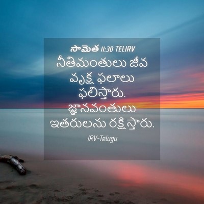 Picture 04 - సామెత 11:30 TELIRV - నీతిమంతులు జీవ - Bible Verse Picture