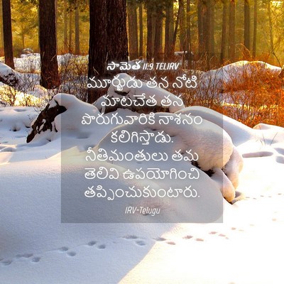 Picture 04 - సామెత 11:9 TELIRV - మూర్ఖుడు తన నోటి - Bible Verse Picture