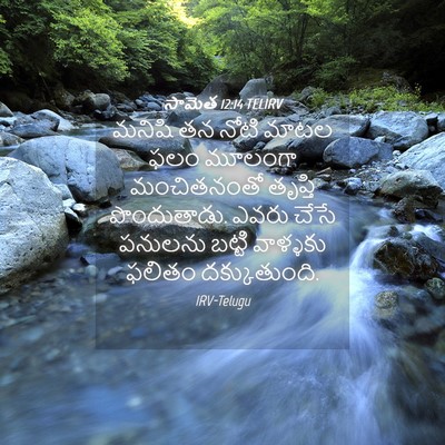 Picture 04 - సామెత 12:14 TELIRV - మనిషి తన నోటి మాటల - Bible Verse Picture
