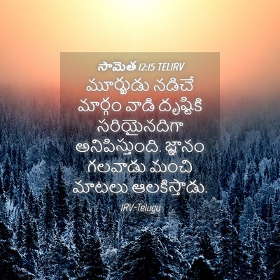 Picture 04 - సామెత 12:15 TELIRV - మూర్ఖుడు నడిచే - Bible Verse Picture