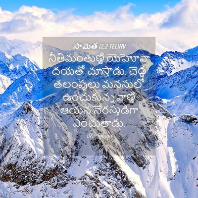 Picture 04 - సామెత 12:2 TELIRV - నీతిమంతుణ్ణి - Bible Verse Picture