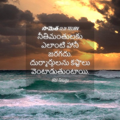 Picture 04 - సామెత 12:21 TELIRV - నీతిమంతులకు - Bible Verse Picture