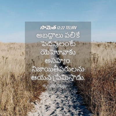 Picture 04 - సామెత 12:22 TELIRV - అబద్ధాలు పలికే - Bible Verse Picture