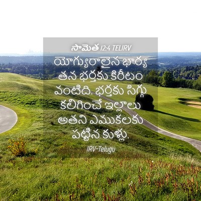 Picture 04 - సామెత 12:4 TELIRV - యోగ్యురాలైన భార్య - Bible Verse Picture