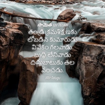 Picture 04 - సామెత 13:1 TELIRV - తండ్రి - Bible Verse Picture