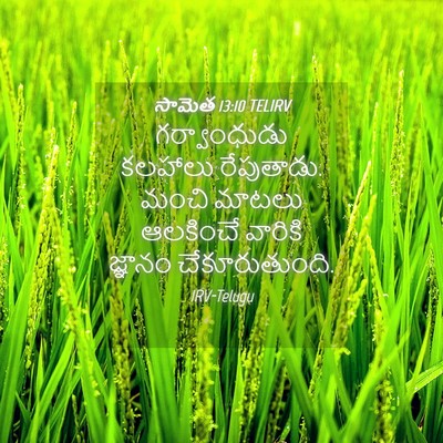 Picture 04 - సామెత 13:10 TELIRV - గర్వాంధుడు కలహాలు - Bible Verse Picture