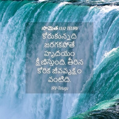 Picture 04 - సామెత 13:12 TELIRV - కోరుకున్నది - Bible Verse Picture