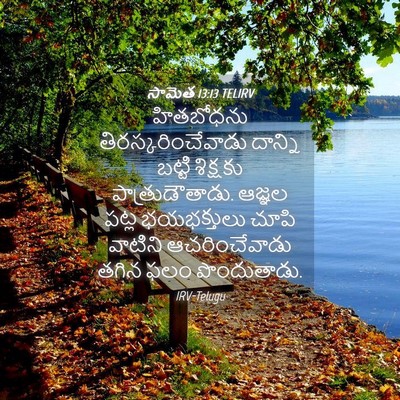 Picture 04 - సామెత 13:13 TELIRV - హితబోధను - Bible Verse Picture