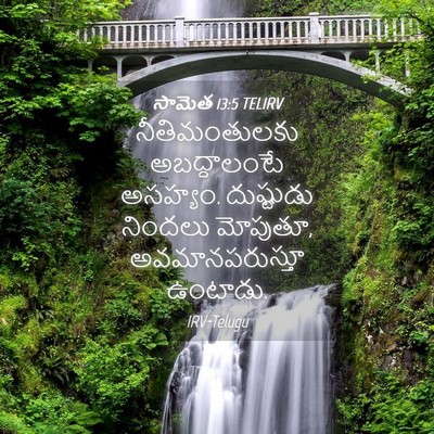 Picture 04 - సామెత 13:5 TELIRV - నీతిమంతులకు - Bible Verse Picture