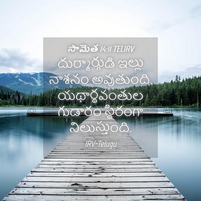 Picture 04 - సామెత 14:11 TELIRV - దుర్మార్గుడి - Bible Verse Picture