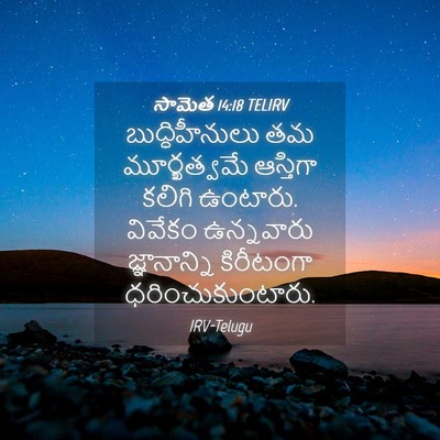 Picture 04 - సామెత 14:18 TELIRV - బుద్ధిహీనులు తమ - Bible Verse Picture