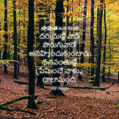 Picture 04 - సామెత 14:20 TELIRV - దరిద్రుణ్ణి వాడి - Bible Verse Picture