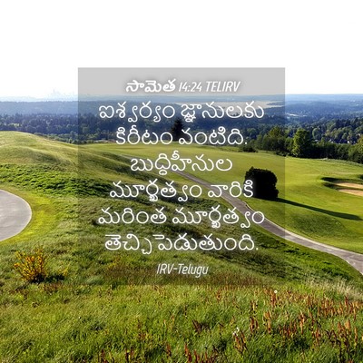 Picture 04 - సామెత 14:24 TELIRV - ఐశ్వర్యం - Bible Verse Picture