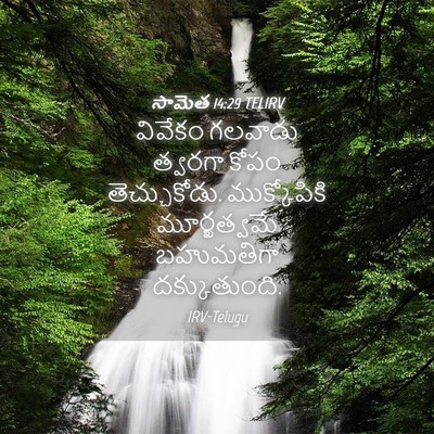 Picture 04 - సామెత 14:29 TELIRV - వివేకం గలవాడు - Bible Verse Picture