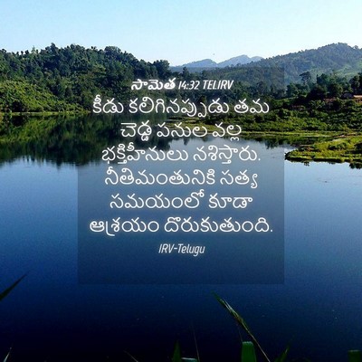 Picture 04 - సామెత 14:32 TELIRV - కీడు కలిగినప్పుడు - Bible Verse Picture