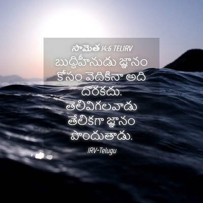 Picture 04 - సామెత 14:6 TELIRV - బుద్ధిహీనుడు - Bible Verse Picture