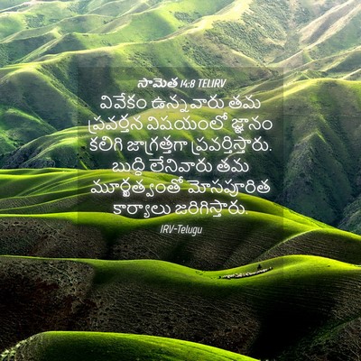 Picture 04 - సామెత 14:8 TELIRV - వివేకం ఉన్నవారు - Bible Verse Picture